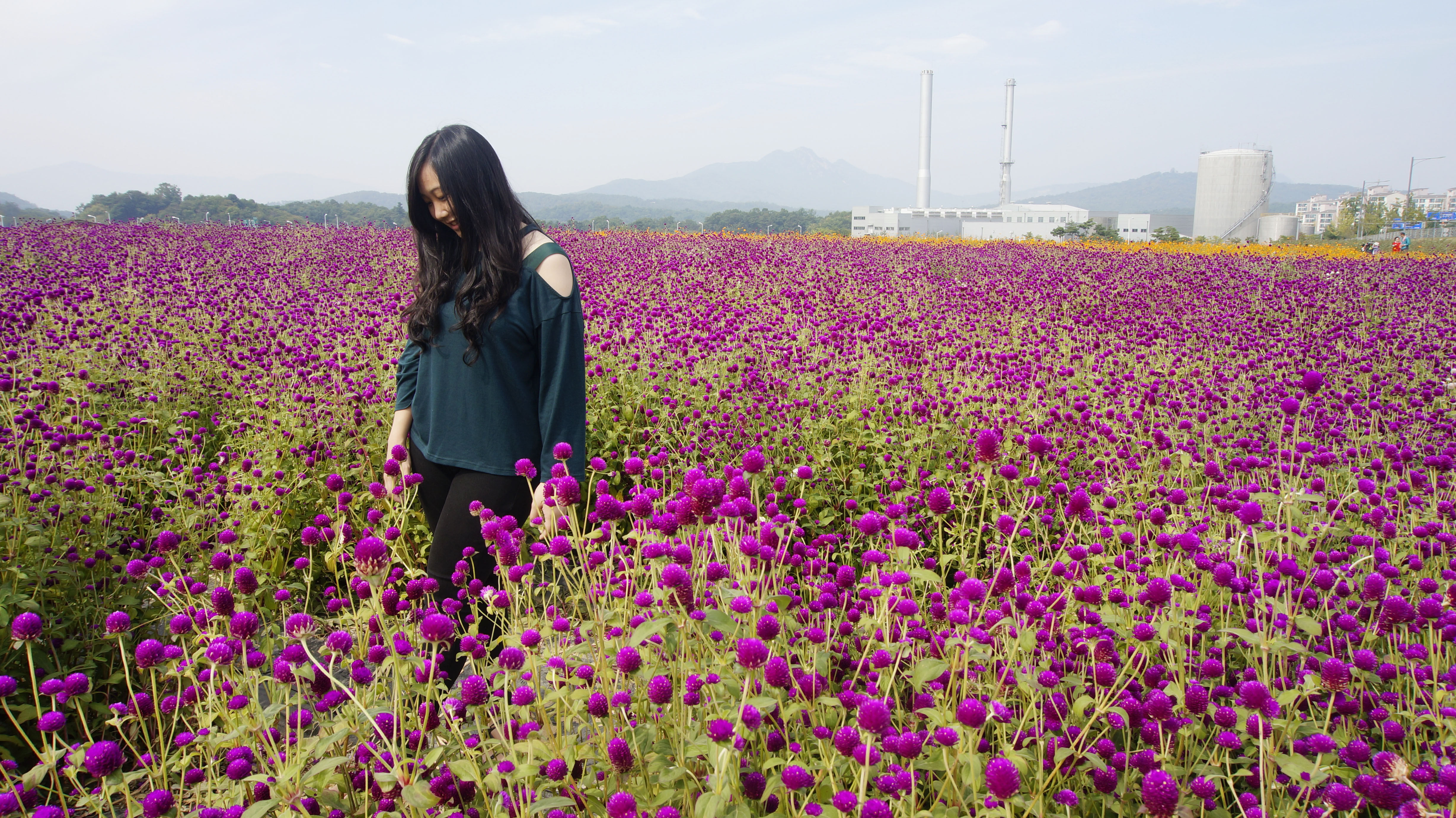 Day Trips from Seoul: Yangju - Jen's Wanderstories