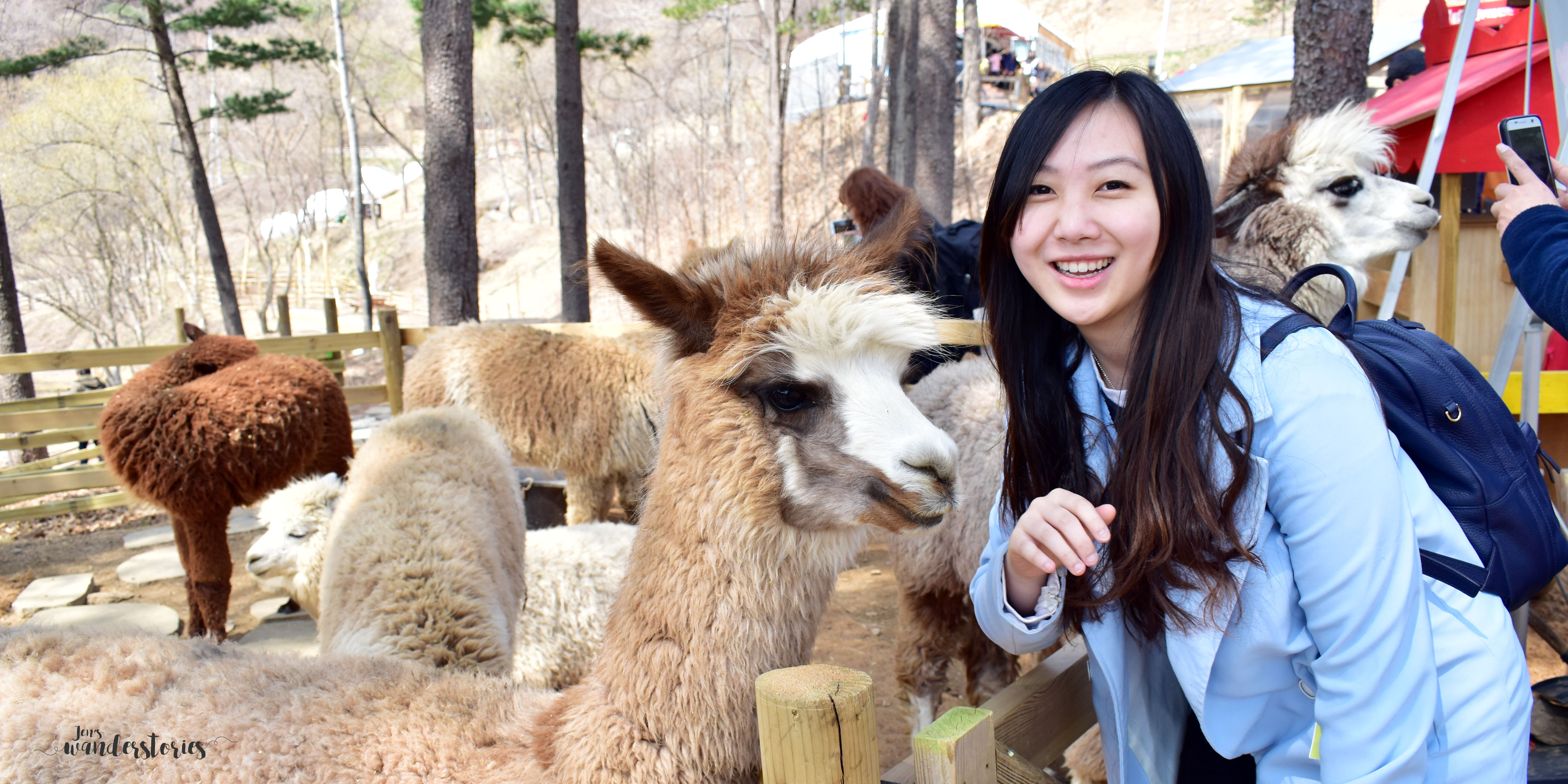 Visiting Chuncheon: Alpaca World, Jade Garden and Gubongsan